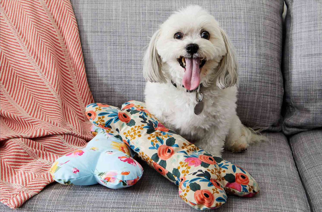 How to Make DIY Pet Toys from Household Items